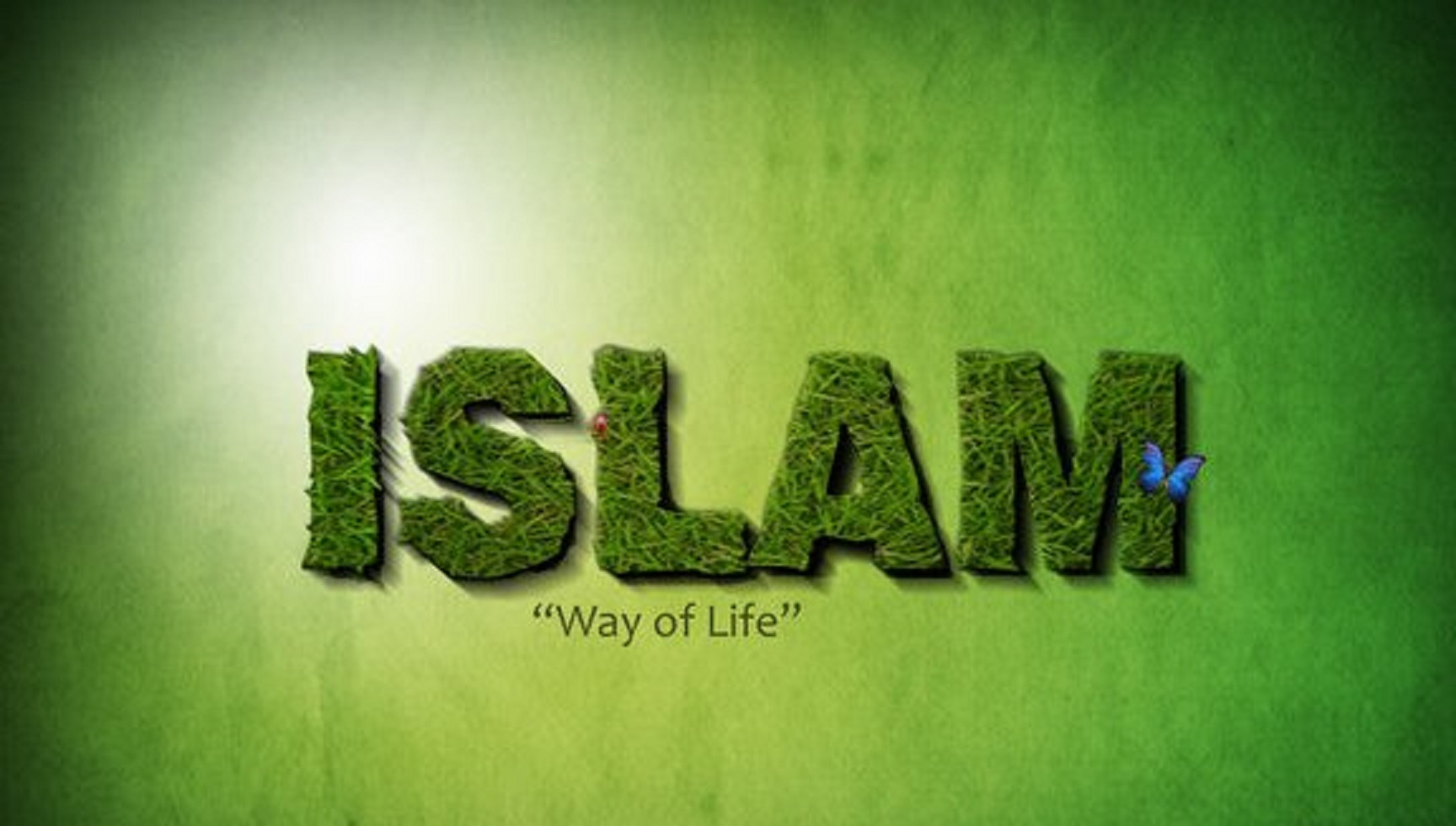 يحرص الإسلام على حماية من يعيش في مجتمع مسلم ولو كان غير مسلم.