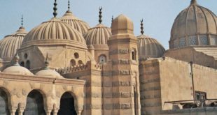 الوحدة والتنوع في تاريخ الإسلام